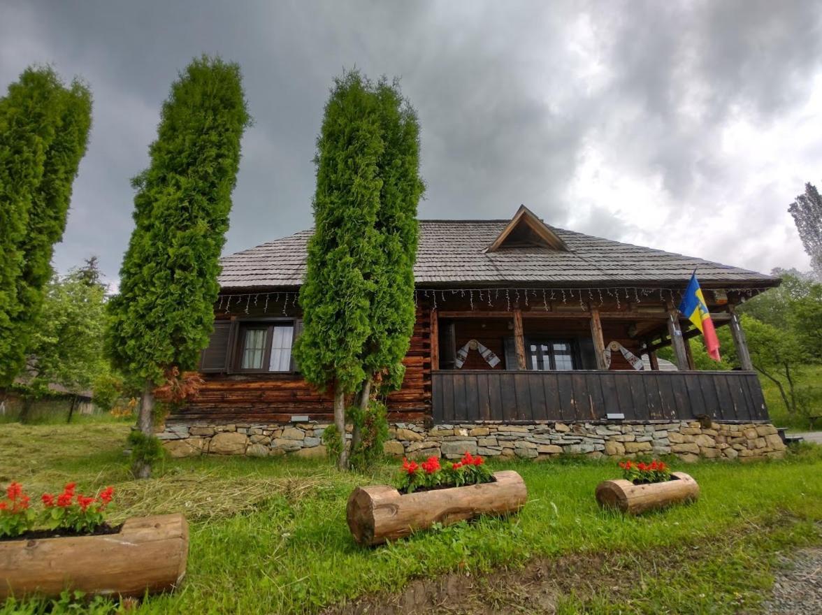 Casuta Lu' Liviu Villa Borşa Екстериор снимка