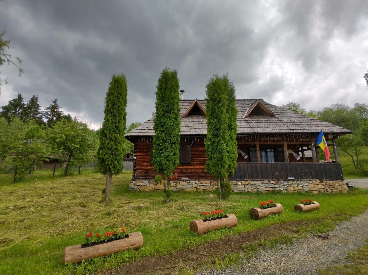 Casuta Lu' Liviu Villa Borşa Екстериор снимка