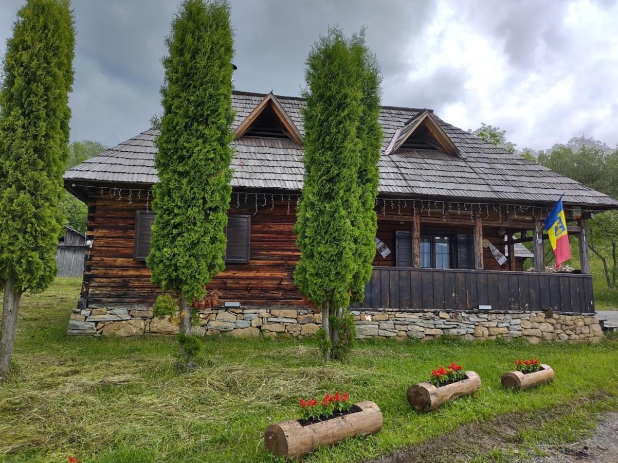 Casuta Lu' Liviu Villa Borşa Екстериор снимка